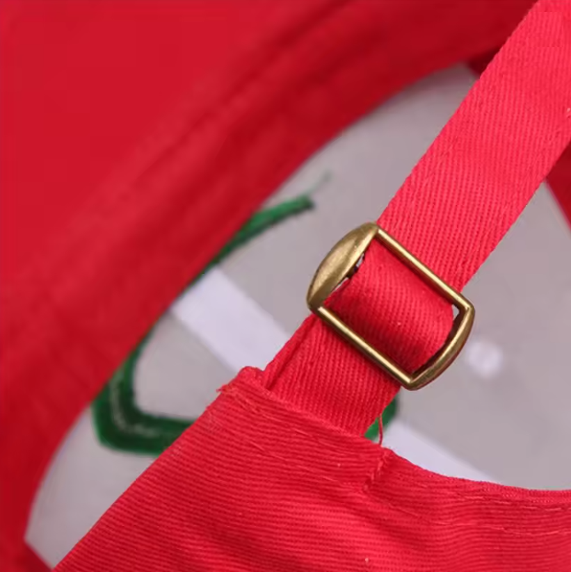 Casquette Sacha du Bourg Palette – Édition Kanto